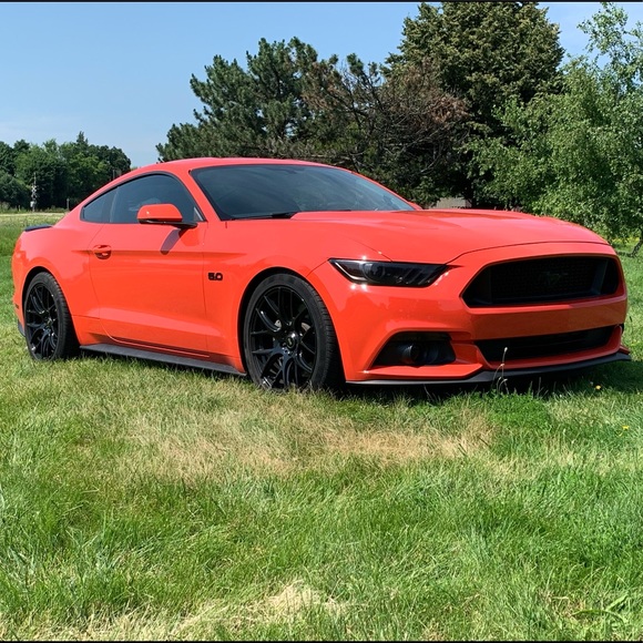 Meet your Posher, Shawn - Picture 1 of 1